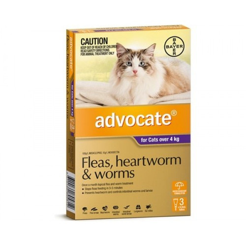 <p style="text-align: justify;">Advocate Purple is formulated for cats over 4kg . This all-in-one parasite protection is highly effective on parasites in every life stage.</p>