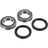 Factory Links Ara-S-002 Axle Bearing Kit Rear