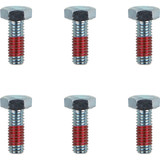 Moto-Master 012021-Pu Bolts Rotor M6X17