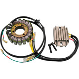 Rick'S Motorsport Electric Charging Kit - Kawasaki 99-201H