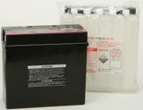Yuasa Battery Yt19Bl-Bs Maintenance Free Yuam6219Bl Yuasa Battery Yt19Bl-Bs Maintenance Free Yuam6219Bl