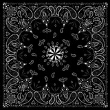 Zan B001 Bandanna Black Paisley
