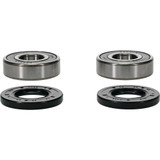 Pivot Works Wheel Bearing Kit Premium 25-1263-P Pivot Works Wheel Bearing Kit Premium 25-1263-P