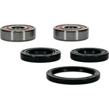 Pivot Works Wheel Bearing Kit Premium 25-1319-P Pivot Works Wheel Bearing Kit Premium 25-1319-P