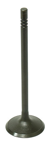 Bronco Au-09195I Intake Valve