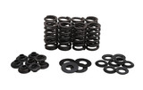 Kpmi 30-33900 Turbo Beehive Valve Spring Kit