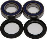 All Balls 25-1293 Wheel Bearing & Seal Kit