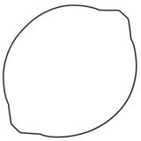 Vertex Clutch Cover Gasket 817685 Vertex Clutch Cover Gasket 817685