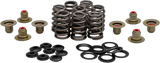 Kpmi 20-21215 Beehive Valve Spring Kit .550 Lift M8`17-24 Non Vvt