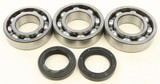 All Balls Crankshaft Bearing/Seal Kit 24-1084 All Balls Crankshaft Bearing/Seal Kit 24-1084