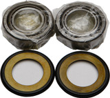 All Balls Steering Bearing/Seal Kit 22-1006