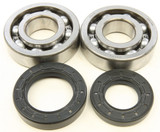 All Balls Crankshaft Bearing/Seal Kit 24-1005 All Balls Crankshaft Bearing/Seal Kit 24-1005
