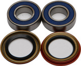 All Balls 25-1431 Wheel Bearing & Seal Kit