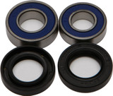 All Balls 25-1050 Wheel Bearing & Seal Kit
