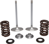 Kpmi 40-40350 Intake Valve Spring Kit
