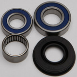 All Balls 14-1025 Chain Case Bearing & Seal Kit