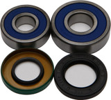All Balls 25-1356 Wheel Bearing & Seal Kit