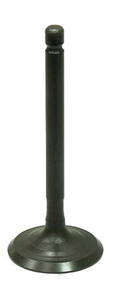 Bronco Au-09217I Intake Valve