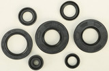Vertex Oil Seal Set 822291 Vertex Oil Seal Set 822291