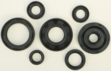 Vertex Oil Seal Set 822173 Vertex Oil Seal Set 822173