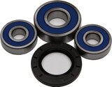 All Balls 25-1349 Wheel Bearing & Seal Kit