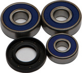 All Balls 25-1309 Wheel Bearing & Seal Kit