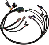 Namz Custom Cycle Nhd-70233-02 Complete Efi Harness 02-03