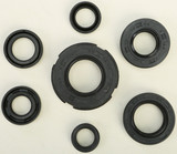 Vertex Oil Seal Set 822219 Vertex Oil Seal Set 822219
