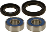 All Balls 25-1384 Front Wheel Bearing Kit