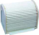 Hiflofiltro Hfa4901 Air Filter