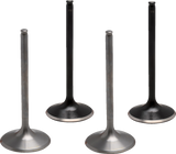 Moose Offroad M30-34380 Valve Kit Pro Trx450R/Er Moose