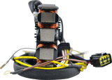 Rm Stator Stator Gen Polaris Atp/Big Boss/ Rm01058