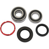 Pivot Works Pwrwk-H06-520 Rear Whl Bearing Kit, Hon