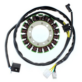 Electrosport Esg460 Electrosport Stator Kawasaki Esg460