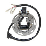 Electrosport Esc1361 Electrosport Stator Kx80/100 (91-97)