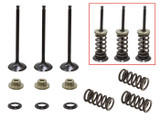Psychic Products Xu-09522Ik Psychic Intake Valve Kit
