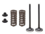 Psychic Products Xu-09566Ek Psychic Exhaust Valve Kit