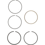 Hastings 2M6198 Rings Std Evo 883