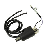 Spi 01-143-70 External Ignition Coil