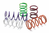 Epi Performance Erlandson Clutch Spring Brite Green PATV7