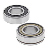 All Balls Racings Wheel Bearing Kit 25-1691