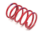 Epi Performance Clutch Spring Red SRER2