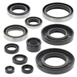 Vertex Engine Oil Seal Kit 822288