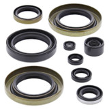 Vertex Engine Oil Seal Kit 822302