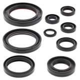 Vertex Engine Oil Seal Kit 822352