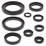 Vertex Engine Oil Seal Kit 822357