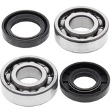All Balls Racing All Balls Racing Crank Bearing And Seal Kit