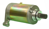 Wildboar Starter Motor SMU0137