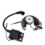 Rmstator Kit Stator + Rotor + Ignition Coil RMS900-107608
