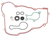 Psychic Water Pump Repair Kit MX-10269